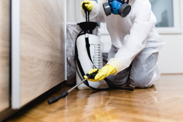 Best Exterminator Services  in Schleswig, IA