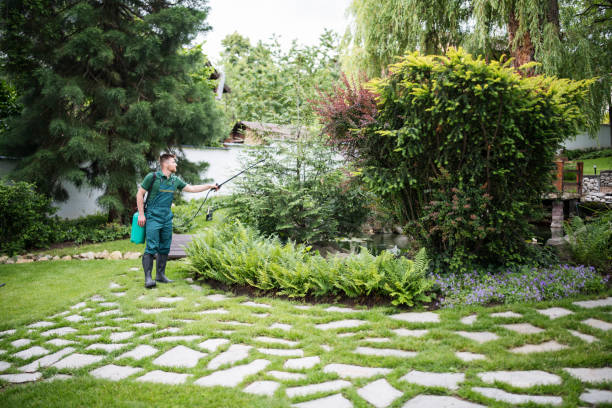 Best Pest Removal Services  in Schleswig, IA