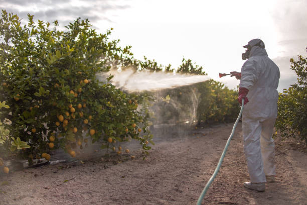 Best Mosquito Control Services  in Schleswig, IA