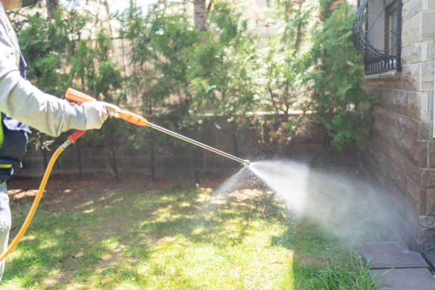 Best Termite Control Services  in Schleswig, IA