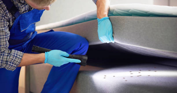 Best Flea Control Services  in Schleswig, IA