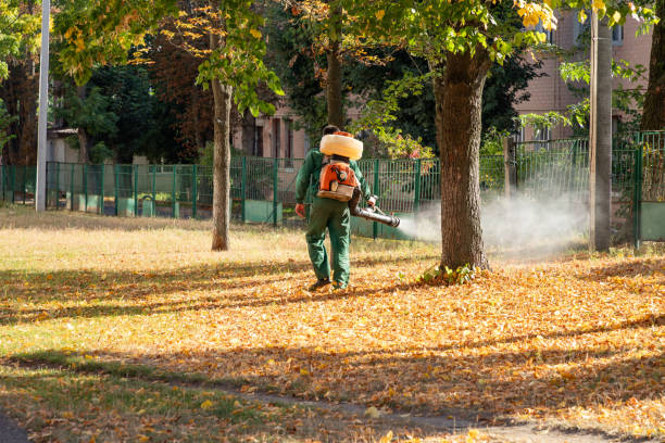 Best Wildlife Control Services  in Schleswig, IA