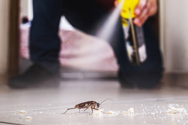 Pest Control Cost in Schleswig, IA