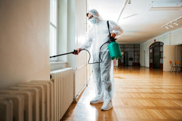 Best Best Pest Control Companies  in Schleswig, IA